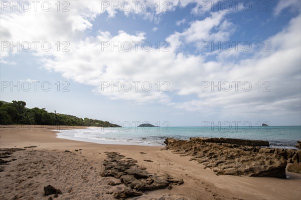 Lonely, wide sandy beach with turquoise-coloured sea. Tropical plants in a bay in the Caribbean sunshine. Plage de Cluny, Basse Terre, Guadeloupe, French Antilles, North America