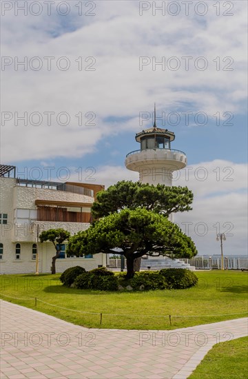 Lighthouse behind a manicured tree on a clear day, in Ulsan, South Korea, Asia