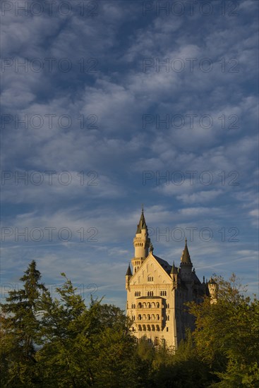 Neuschwanstein Castle, sunset, near Fuessen, Ostallgaeu, Allgaeu, Bavaria, Germany, Europe