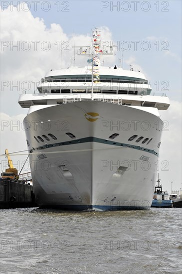 AMADEA, close-up of the bow of a moored cruise ship under a clear sky, Hamburg, Hanseatic City of Hamburg, Germany, Europe