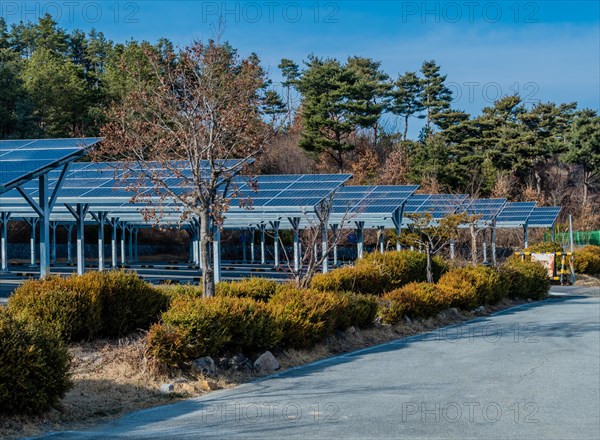 Large array of solar panels providing shade in a parking area with trees and blue sky, in South Korea