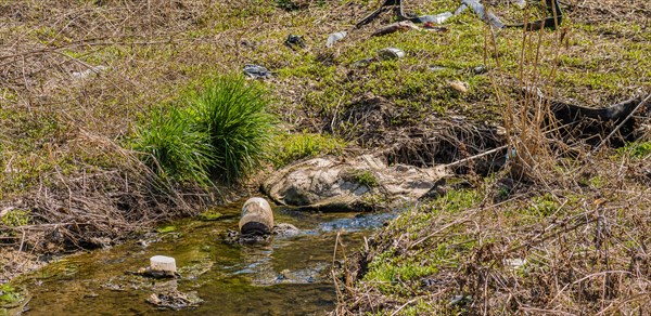 Grass tuft by a small stream littered with trash highlighting pollution, in South Korea