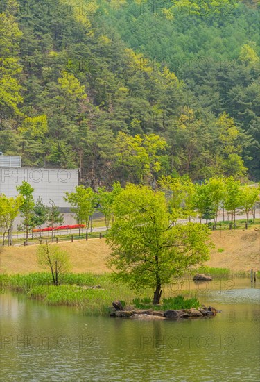 Tree on small man made island in center of lake with lush forest behind building in background in South Korea