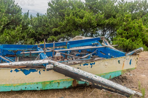 Abandoned boat wreckage with blue and yellow peeling paint amidst dense foliage, in Ulsan, South Korea, Asia