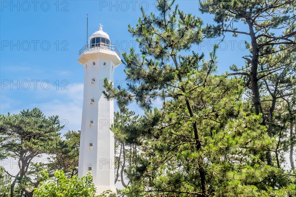 A distant view of a tall white lighthouse peeking through trees under a blue sky, in Ulsan, South Korea, Asia