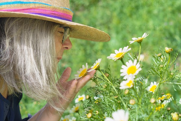 Mature woman with white hair and hat seen in profile smelling a beautiful daisy in her hands with a meadow with flowers in the background