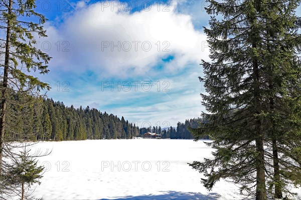 Kleiner Arbersee, Lohberg, Bavarian Forest National Park, Germany, Europe