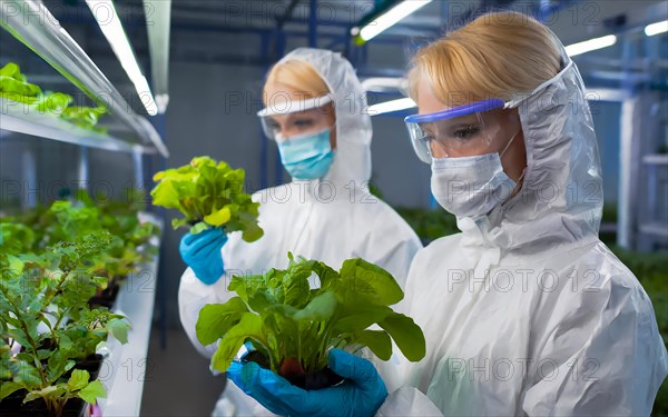 Biologists in protective suits grow vegetables in the lab, the concept of biotechnology, plant care and protection against diseases, organic food production, AI generated, AI generated