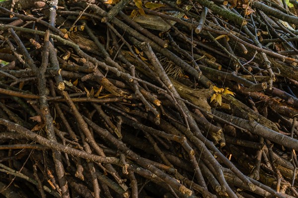 Closeup of broken branches and sticks haphazardly stacked up and held together with fishing line in South Korea