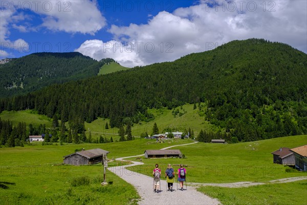 Hikers in front of the Albert Link Huette, Spitzingsee area, Bavarian Hausberge, Alps, Upper Bavaria, Bavaria, Germany, Europe