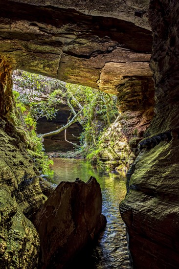 River crossing the cave and rainforest in Carrancas, Minas Gerais, Brazil, Brasil, South America