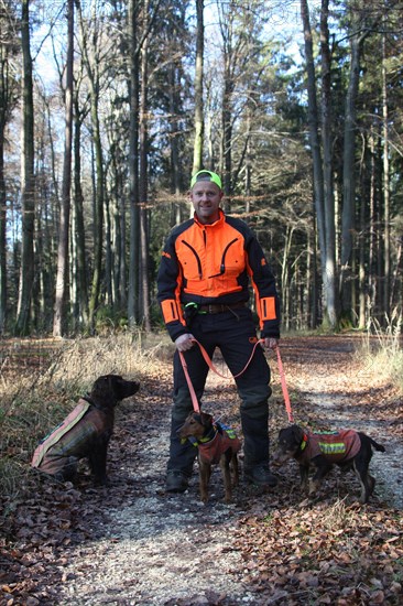 Wild boar (Sus scrofa) dog handler with hunting dogs quail and hunting terrier, all in safety clothing, Allgaeu, Bavaria, Germany, Europe