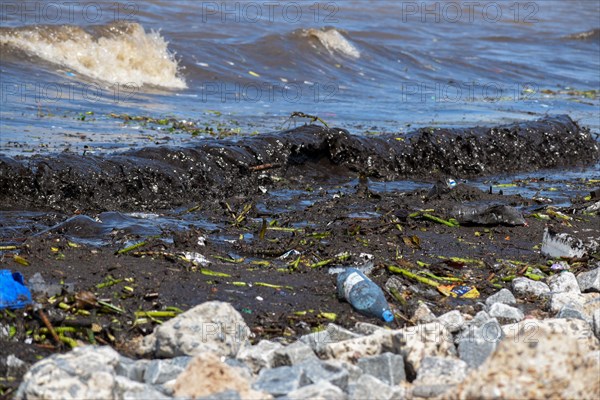 Waste and polluted water, symbolic image of environmental pollution, Rio de la Plata, Buenos Aires, Argentina, South America