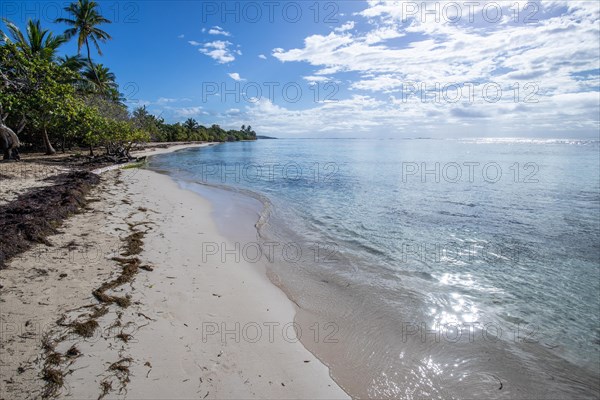 Romantic Caribbean sandy beach with palm trees, turquoise-coloured sea. Morning landscape shot at sunrise in Plage de Bois Jolan, Guadeloupe, French Antilles, North America