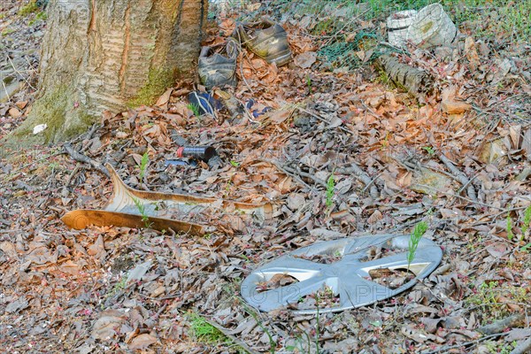 A scene of litter with a hubcap and a shoe among forest debris, highlighting pollution, in South Korea