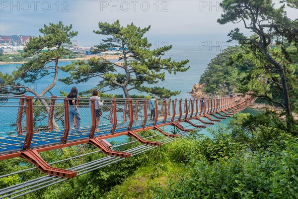 Picturesque suspension bridge stretching over the coastline, surrounded by lush forest, in Ulsan, South Korea, Asia