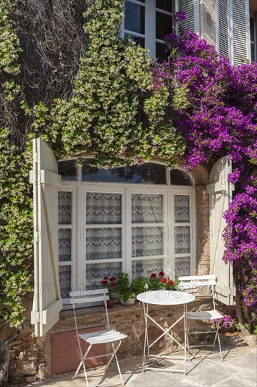 Window with climbing bougainvilleas in one of the typical alleyways, Grimaud-Village, Var, Provence-Alpes-Cote d'Azur, France, Europe