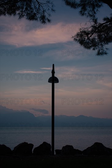 Silhouettes of a street lamp and branches against a twilight sky, mountains and Lake Garda in the background, Sirmione, Lake Garda, Italy, Europe