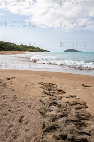 Lonely, wide sandy beach with turquoise-coloured sea. Tropical plants in a bay in the Caribbean sunshine. Plage de Cluny, Basse Terre, Guadeloupe, French Antilles, North America