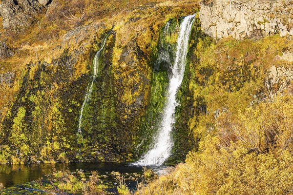 Small foaming waterfalls cascading from a rock face, in the evening light, Sudurland, Iceland, Europe