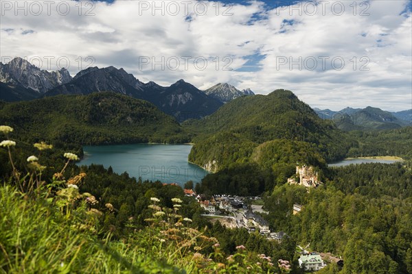 Hohenschwangau Castle, near Fuessen, Ostallgaeu, Allgaeu, Bavaria, Germany, Europe