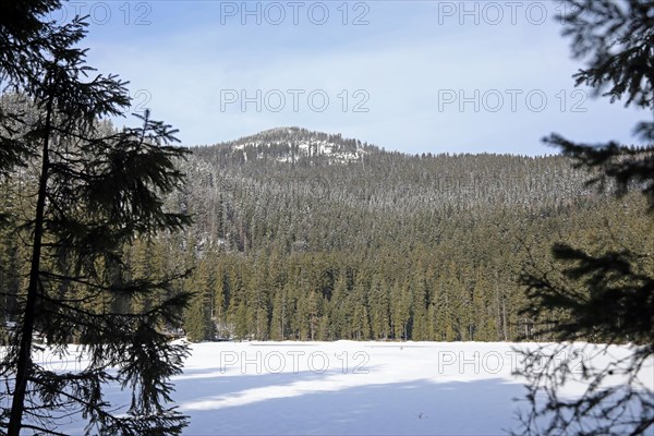 Kleiner Arbersee, Lohberg, Bavarian Forest National Park, Germany, Europe