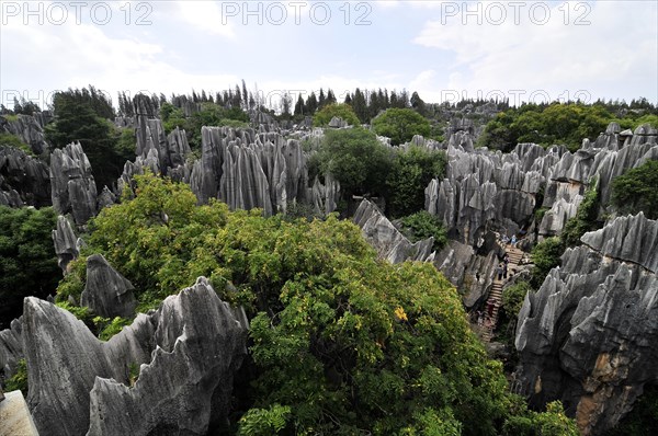 Shilin stone forest, china