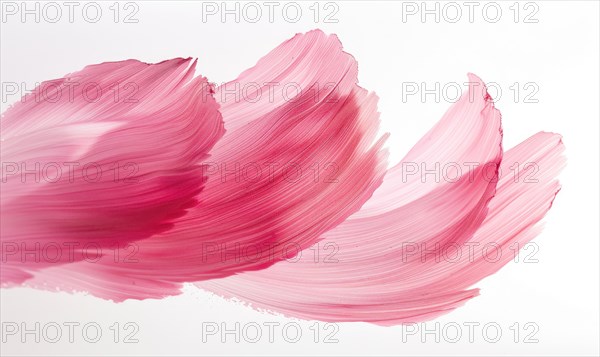 Brush stroke resembling a rose petal. Soft pink rose petals on white background AI generated