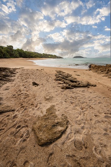 Lonely, wide sandy beach with turquoise-coloured sea. Tropical plants in a bay in the Caribbean sunshine. Plage de Cluny, Basse Terre, Guadeloupe, French Antilles, North America