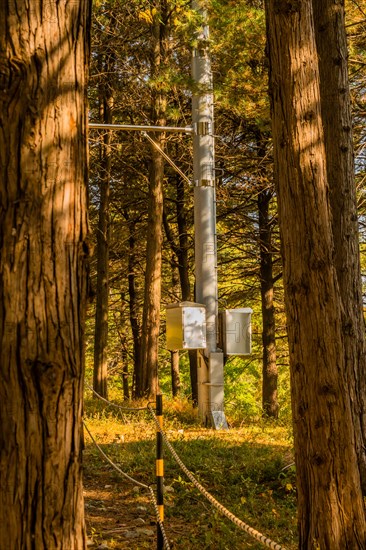 Base of metal utility pole seen through trees in woodland area of public park in South Korea