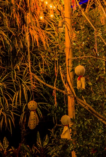 Warm lights and decorative figures in a night garden create a cozy ambiance, in Chiang Mai, Thailand, Asia