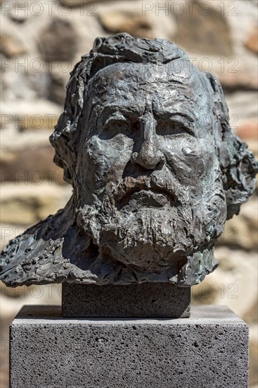 Monument to natural scientist Karl Vogt, portrait, bronze sculpture by Thomas Duttenhoefer, Giessen Heads art project, Upper Hesse Museum, Old Castle, Old Town, Giessen, Giessen, Hesse, Germany, Europe