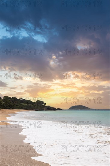 Lonely, wide sandy beach with turquoise-coloured sea. Tropical plants in a bay at sunset in the Caribbean. Plage de Cluny, Basse Terre, Guadeloupe, French Antilles, North America