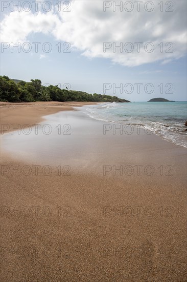 Lonely, wide sandy beach with turquoise-coloured sea. Tropical plants in a bay in the Caribbean sunshine. Plage de Cluny, Basse Terre, Guadeloupe, French Antilles, North America