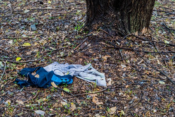 Discarded clothes on the forest ground, representing neglect and environmental littering, in South Korea