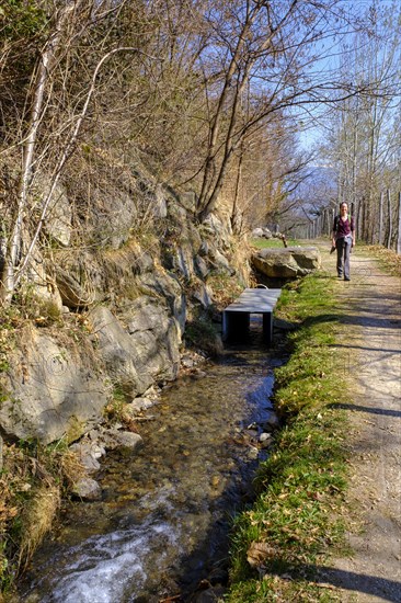 Partschinser Waalweg, Partschinser Sagenweg, Partschins, Vinschgau Valley, South Tyrol, Italy, Europe