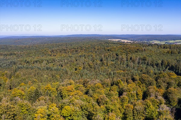 Forest, Spessart Hochstrasse, near Heigenbruecken Spessart, Lower Franconia, Franconia, Bavaria, Germany, Europe