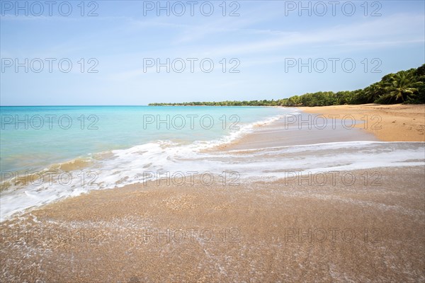 Lonely, wide sandy beach with turquoise-coloured sea. Tropical plants in a bay in the Caribbean sunshine. Plage de Cluny, Basse Terre, Guadeloupe, French Antilles, North America