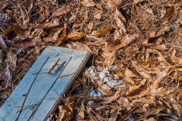 An old raglies beside a wooden plank surrounded by dry autumn leaves, in South Korea