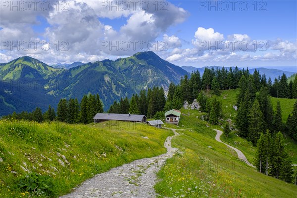 Stuempflingalmen on the way to Rosskopf, Rosskopf, Spitzingsee area, Bavarian local mountains, Alps, Upper Bavaria, Bavaria, Germany, Europe