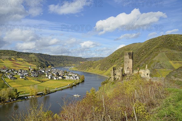 View of the ruins of Metternich Castle near Beilstein and the wine village of Ellenz-Poltersdorf, Ellenz district, blue cloudy sky, Moselle, Rhineland-Palatinate, Germany, Europe