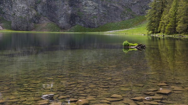 Lake, Hintersee, reflection, clear water, pinzgau