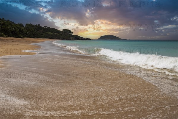 Lonely, wide sandy beach with turquoise-coloured sea. Tropical plants in a bay at sunset in the Caribbean. Plage de Cluny, Basse Terre, Guadeloupe, French Antilles, North America