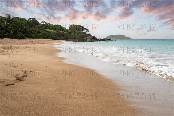 Lonely, wide sandy beach with turquoise-coloured sea. Tropical plants in a bay at sunset in the Caribbean. Plage de Cluny, Basse Terre, Guadeloupe, French Antilles, North America