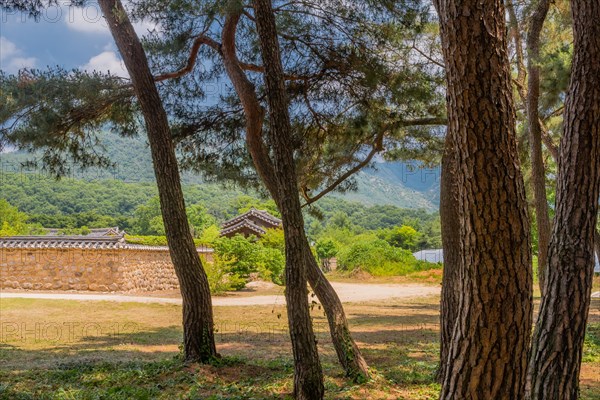 Korean traditional wall enclosing community buildings taken from under grove of shade trees on sunny afternoon in South Korea