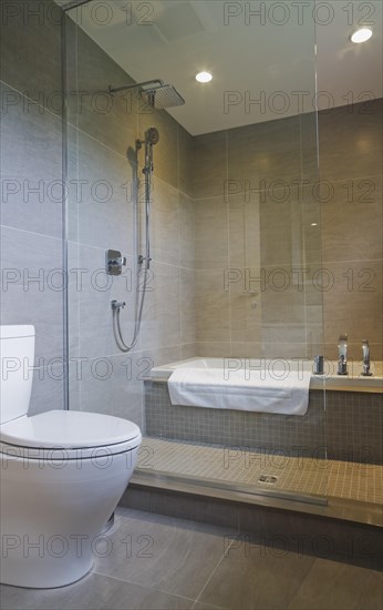 White porcelain toilet and bathtub in glass shower stall in guest bathroom with grey ceramic tile floor and wall on upstairs floor inside modern cubist style home, Quebec, Canada, North America