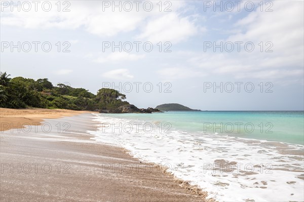 Lonely, wide sandy beach with turquoise-coloured sea. Tropical plants in a bay in the Caribbean sunshine. Plage de Cluny, Basse Terre, Guadeloupe, French Antilles, North America