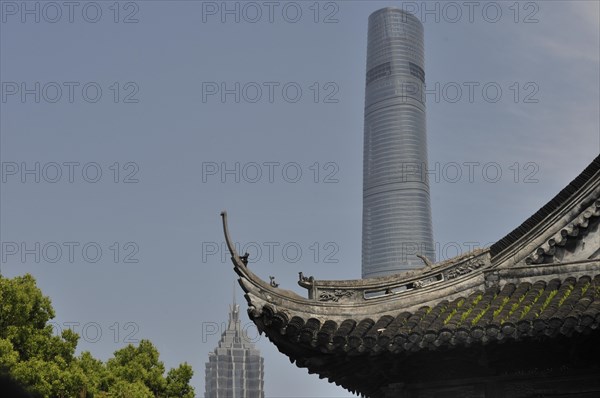 Shanghai city view, skyscraper, china