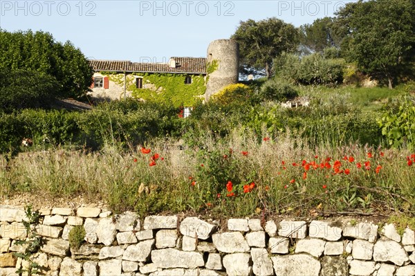 Lourmarin, Parc Naturel Regional du Luberon, Vaucluse, Provence, France, Europe