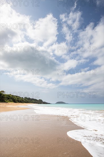 Lonely, wide sandy beach with turquoise-coloured sea. Tropical plants in a bay in the Caribbean sunshine. Plage de Cluny, Basse Terre, Guadeloupe, French Antilles, North America